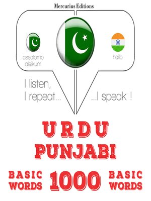 cover image of 1000 پنجابی میں ضروری الفاظ